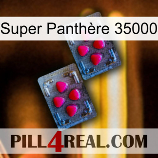 Super Panthère 35000 14